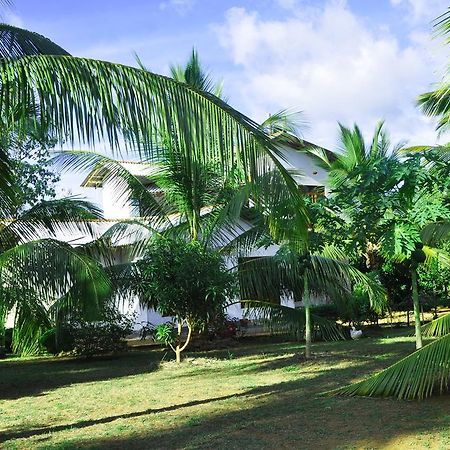 Coconut Garden House Hotel Udawalawe Kültér fotó