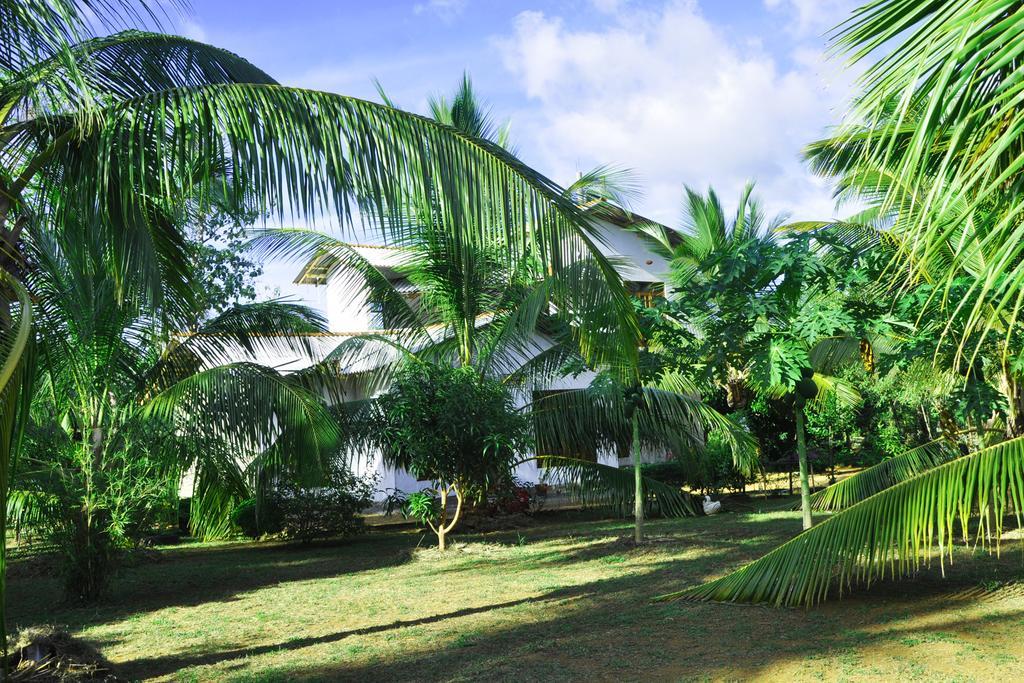 Coconut Garden House Hotel Udawalawe Kültér fotó