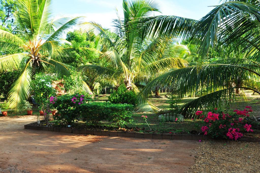 Coconut Garden House Hotel Udawalawe Kültér fotó