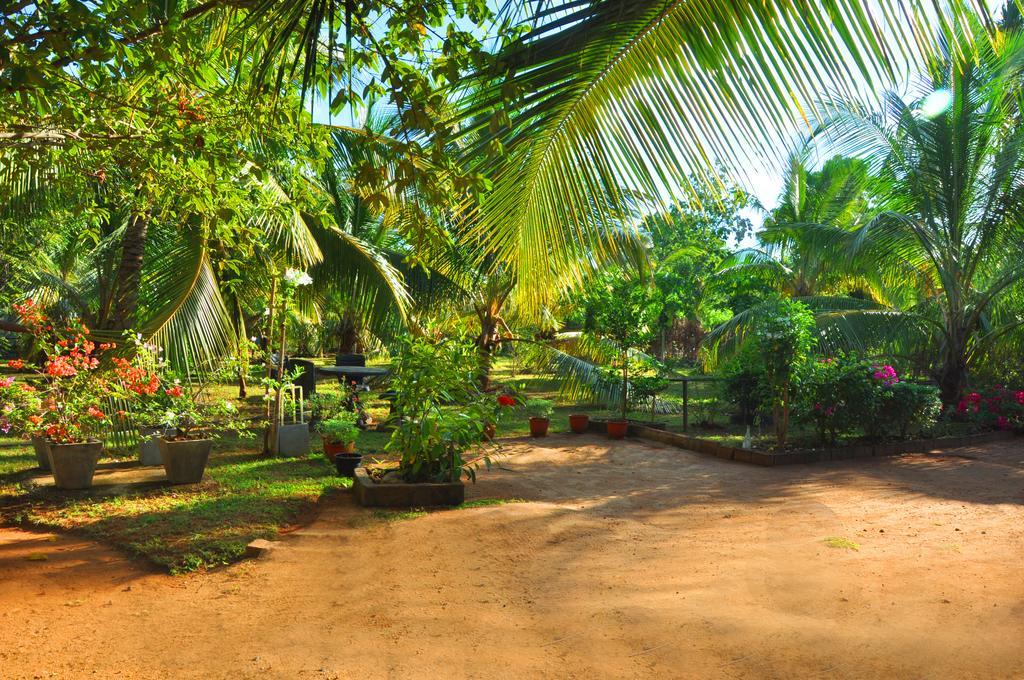 Coconut Garden House Hotel Udawalawe Kültér fotó