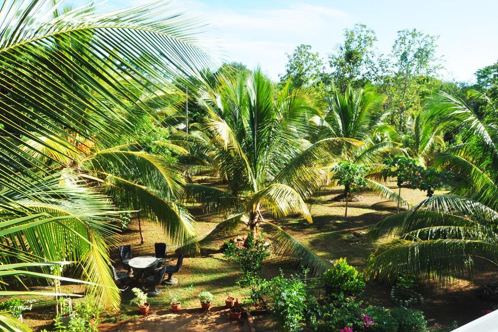 Coconut Garden House Hotel Udawalawe Kültér fotó